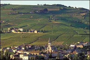 Juliénas est une commune du Rhône, surtout connue pour son vin en AOC depuis 1938. A quel vignoble appartient-il ?