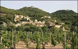 Gigondas, connue pour ses vins rouges et rosés, est située au pied des Dentelles de Montmirail, chaîne montagneuse du massif des Baronnies. Dans quel département ?