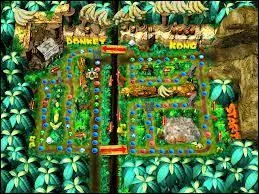 Quel est l'objectif  atteindre dans le monde sauvage de DK ?