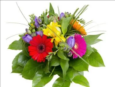 Quelles sont ces fleurs jaunes, au centre de la composition, utilisées de plus en plus fréquemment en parfumerie comme note de cur, tant leur fragrance est suave ?