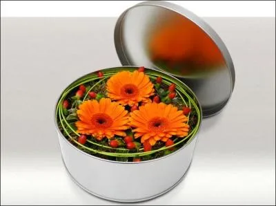 Cette charmante composition, faite de gerberas et de baie d'hypericum, ravira votre hôtesse. Qu'est-ce que l'hypericum ?