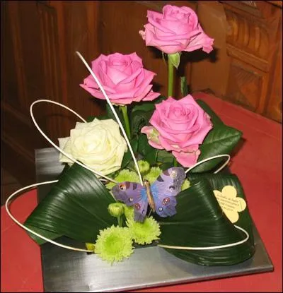 Il s'agit d'un genre de plantes de la famille des Liliaceae, que l'on utilise en décoration de bouquets afin de faire ressortir les couleurs des fleurs.