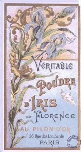 C'est la tige ... ... de l'iris de Florence qui fournit la poudre d'iris au parfum dlicat ; c'est aussi cette ... ... souterraine que l'on donne  ... ... ... aux petits enfants qui font les .....