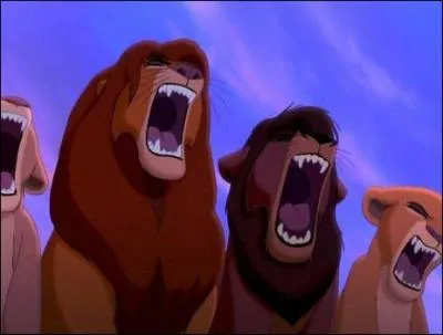 De quel Roi lion  provient la photo ?