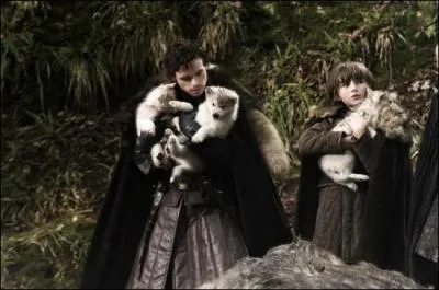 Eddard dcouvre le cadavre d'une femelle loup-garou dans la fort. Combien de louveteaux y dcouvre-t-on au final ?