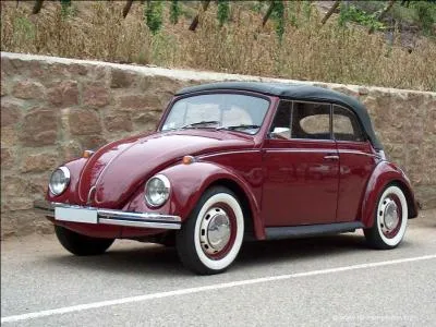 Quel insecte surnomme-t-on  la bte  bon dieu  ?