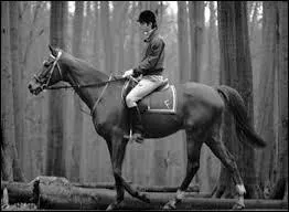 Que signifie le mot : quitation ?