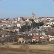 La commune de Puylaurens ( Tarn ) est chef-leu ...