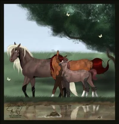 Un cheval  entier  est :