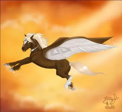 Un cheval qui sourit :