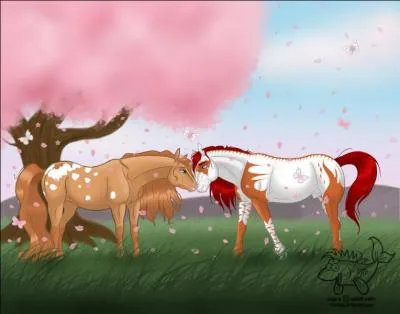 En anglais, cheval se dit :