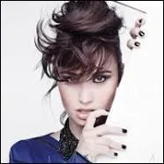 Comment s'appelle son nouveau single de 2013 ?