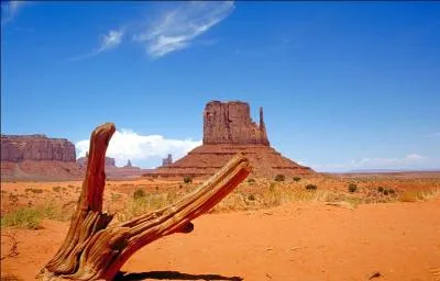 Quel paysage emblmatique du western, situ aux Etats-Unis, peut-on apercevoir dans de nombreux films du genre ?