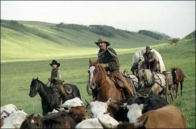 Pourquoi l'acteur-ralisateur amricain Kevin Costner a-t-il tourn son western  Open Range  au Canada, en 2003, plutt qu'aux Etats-Unis, dans le Montana ?