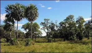 Quelle est la capitale du Paraguay ?