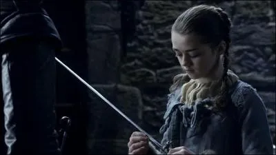 Avant son dpart pour la Garde de Nuit avec son oncle Benjen, Jon offre une pe  Arya. Comment la nomment-ils ?