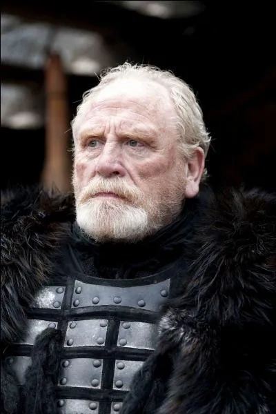 Qui est le lord Commandant de la Garde de Nuit,  ce moment de l'histoire ?