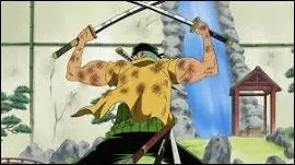 Comment s'appelle cette technique de Zoro ?