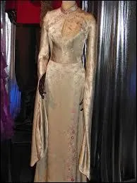 Qui porte cette robe ?