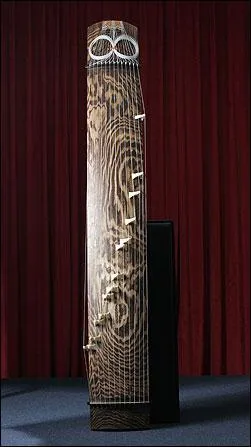 Quel est cet instrument de musique ?