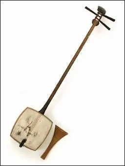 Quel est cet instrument de musique ?