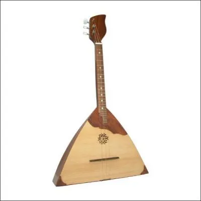 Quel est cet instrument de musique ?