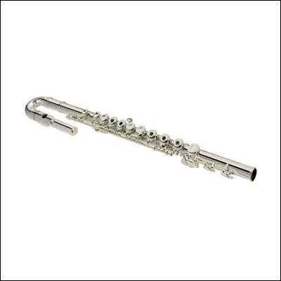 Quel est cet instrument de musique ?