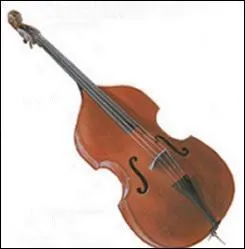 Quel est cet instrument de musique ?