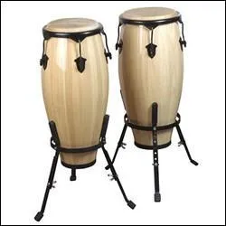 Quel est cet instrument de musique ?