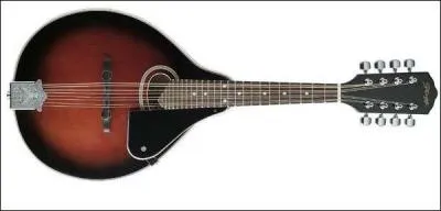 Quel est cet instrument de musique ?