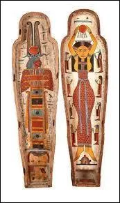 Les gyptiens viscraient le corps humain pour le momifier. Un seul organe restait dans la dpouille des dfunts, lequel ?