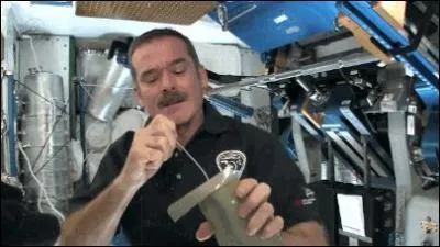 Quel dessert mangent le plus souvent les astronautes ?