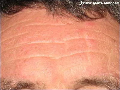 Il dfinit cette partie de notre anatomies comme . .