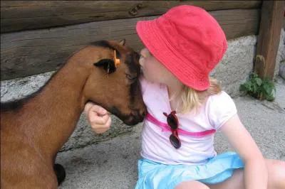 C'est un fromage du centre de la France, le Pouligny Saint-Pierre, il est de forme ...