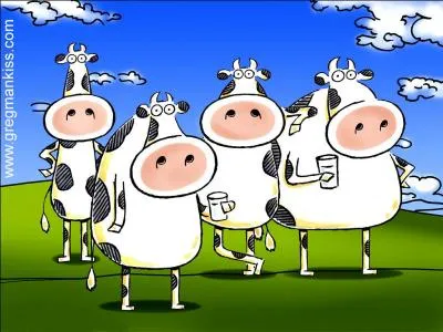 Le  Neufchtel  est un fromage de Haute-Normandie, et vous n'tes pas sans savoir qu'il est ...