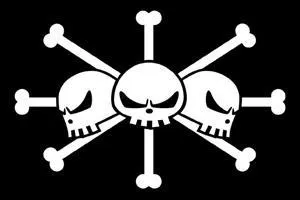  qui est ce drapeau ?