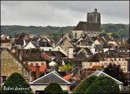 La ville de Szanne ( Marne ) est chef-lieu ...