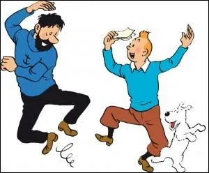 Comment une houppette s'est-elle forme dans les cheveux de Tintin ?