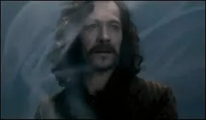 Lorsque Sirius est tu, Harry se lance  la poursuite de Bellatrix et lui lance un sort. Lequel ? (dans le film)