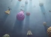 Quiz Fruits du dmon One Piece