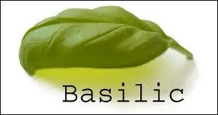 Qu'est ce que le Basilic ?