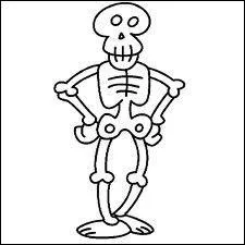 Qu'est-ce qu'un funrarium ?