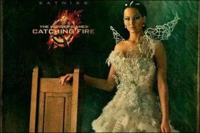 Quel film pourrez-vous voir fin Novembre 2013 ? (le 20)