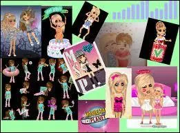 Qu'est-ce qu'un  petpet  ?