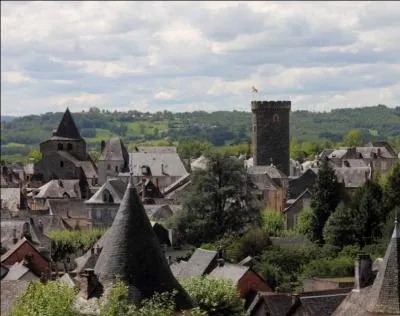 La commune d'Allassac est connue pour :