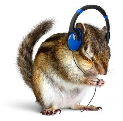 En 2012, en hommage  Claude Franois, un film est sorti. Son nom est :