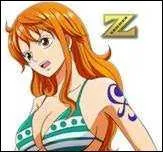 Quel est l'homme poisson qui a fait du mal  Nami ?