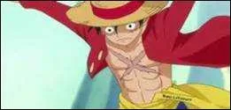 Quel est le pire ennemi de Luffy ?