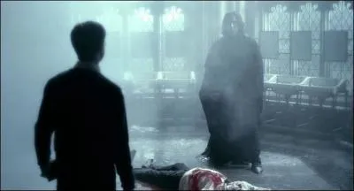 (Tome 6) Qui Harry agresse-t-il avec le sortilge Sectumsempra ?