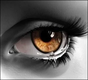 Parmi ces phrases laquelle s'approche le plus d'une dfinition de l'audisme ?